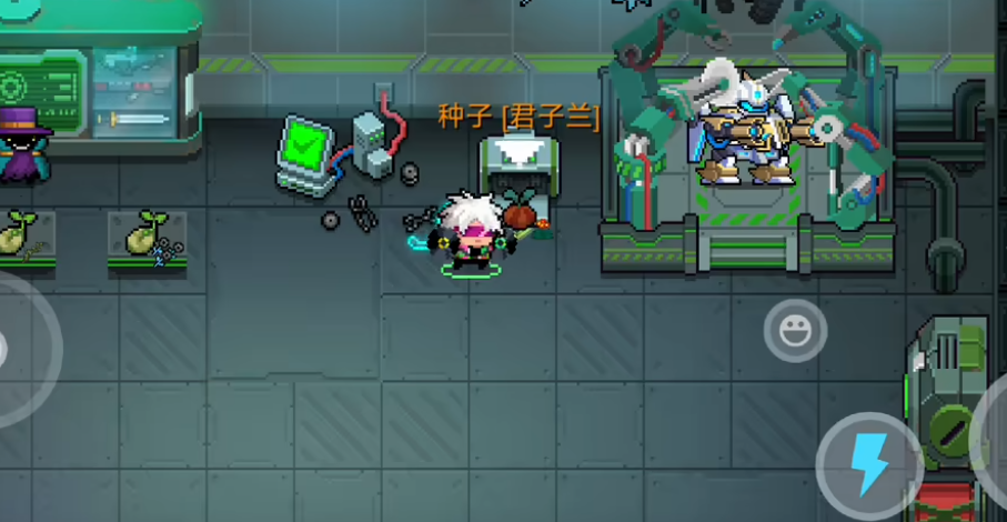 元氣騎士君子蘭有著什么作用