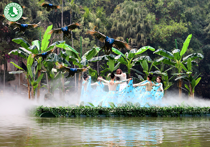 倩女手游聯(lián)動(dòng)西雙版納原始森林公園，免費(fèi)旅拍招募中