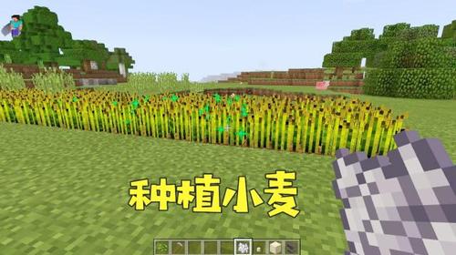 我的世界點(diǎn)擊npc傳送怎么弄的
