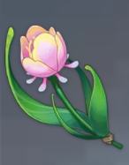 原神虹彩薔薇哪里多