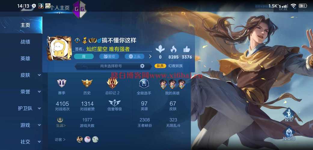 王者榮耀主頁掛什么英雄好看