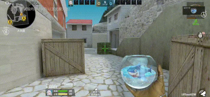 6.jpg