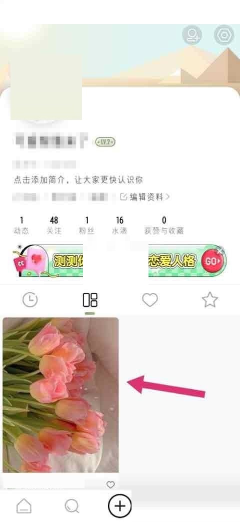 綠洲動態(tài)如何置頂 綠洲動態(tài)如何置頂